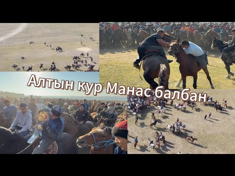 Видео: Уларбек Аламан улак 11.10.2025.