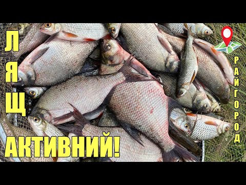 Видео: 10 кг риби. Фідерна рибалка у перший день осені! Південний Буг роздає.