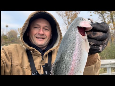 Видео: Рыбалка ФОРЕЛИ. 🎣Как смастерить самую уловистую удочку? СМОТРИ ДО КОНЦА!👍