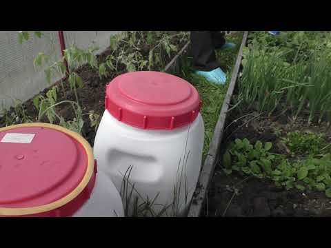 Видео: Квас из берёзового сока,ответы на вопросы