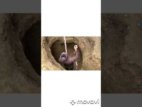 Видео: Раскопки в Дачу-Борзое