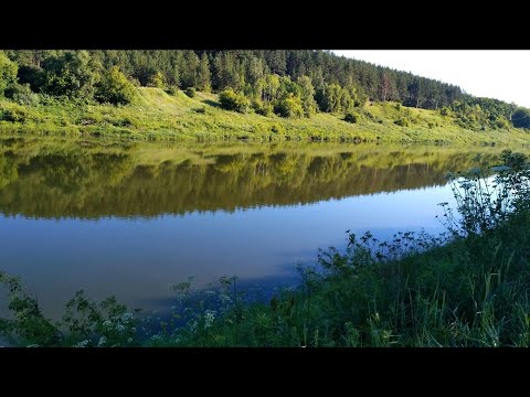 Видео: Рыбалка на фидер!Дон.Замятино.