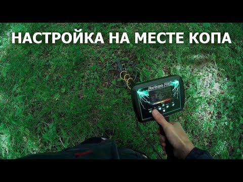 Видео: Фортуна-ПРО настройка и коп в лесу