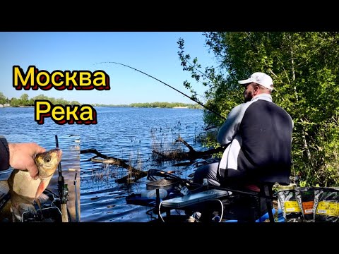 Видео: Ловля ЛЕЩА на Москва реке. Май 2024 #рыбалка #фидер