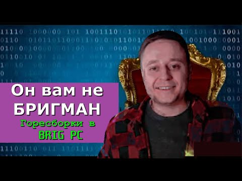 Видео: Горесборщики №3. BRIGMAN и BRIG PC. Топ канал без скилла? Где выгода?