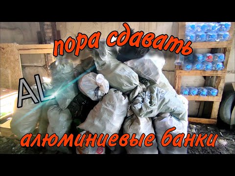 Видео: Алюминиевые банки! Первая сдача в 2024. И конечно полимеры!
