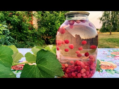 Видео: КОМПОТ ИЗ КРЫЖОВНИКА НА ЗИМУ !!!