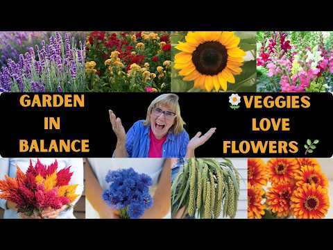 Видео: Цветы прохладного и теплого сезона для процветающего огорода