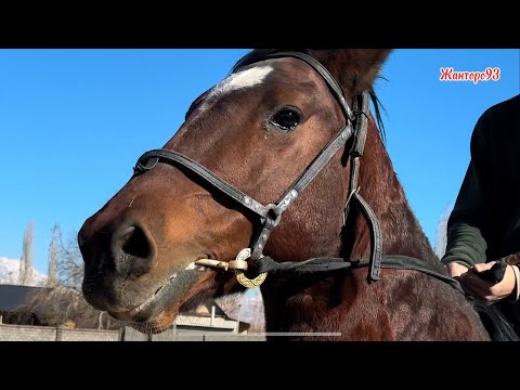Видео: Союз акенин Аты +996-774-503-586. 13 ноября 2025 г.