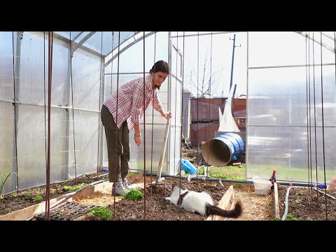 Видео: Посрещане на пролетта в градината 🌸 | Живот на село 🏡
