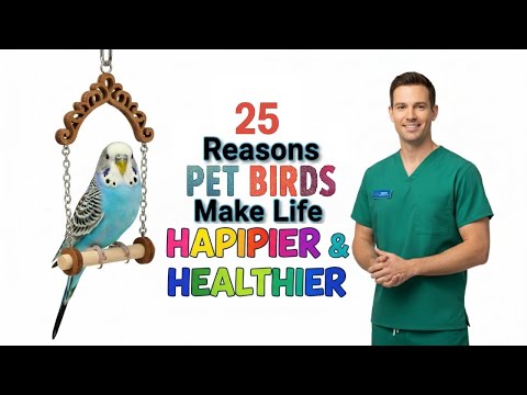 Видео: Преимущества милых птичек, которые растопят ваше сердце