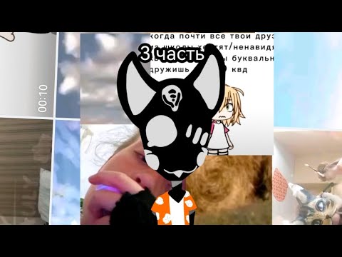 Видео: ||3 часть квд лайка||