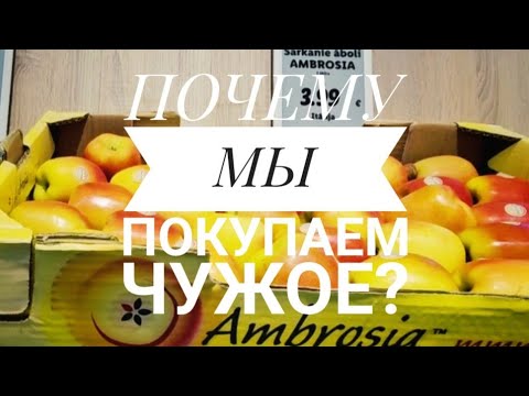Видео: LIDL/Новинки/Зачем нам французский лук?