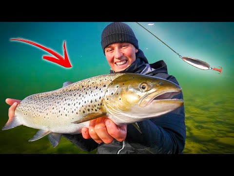 Видео: Как Поймать 5 Разных Видов Рыб на Спиннинг (Огненная Рыбалка в Bergeforsen) | Team Galant