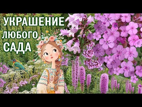 Видео: Розовые цветы в саду. Обзор сортов в цветнике. Розовый цвет в садовых композициях. Опыт выращивания.