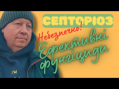 Видео: ⚡️НЕБЕЗПЕЧНО! СЕПТОРІОЗ ПШЕНИЦІ (Septoria tritici)| ЕФЕКТИВНІ ФУНГІЦИДИ
