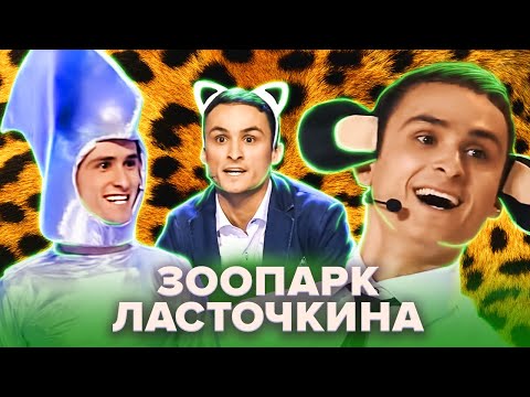 Видео: КВН Зоопарк Ласточкина. Полная коллекция