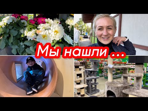 Видео: Зоомагазины в Германии ✔️ Купили Попугая 🦜✔️Влог ✔️Германия ✔️ Блогеры Германии