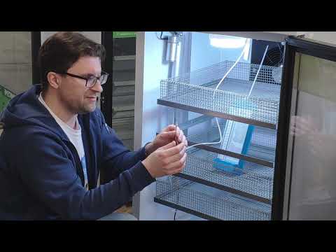 Видео: Температура внутри инкубатора