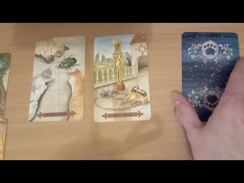 Видео: 19 ноября 2025 год. 