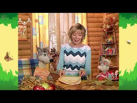 Видео: День в Шишкином Лесу. Дневник наблюдений