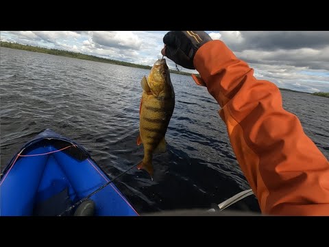 Видео: Одиночный сплав по рекам и озерам Кольского полуострова. Август 2023. Часть 1