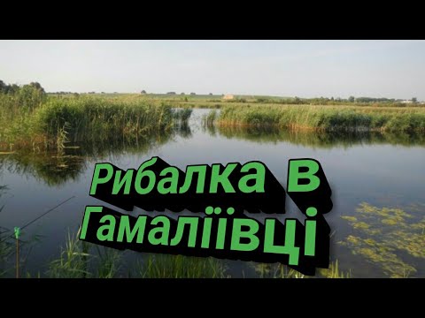 Видео: Рибалка в Гамаліївці.