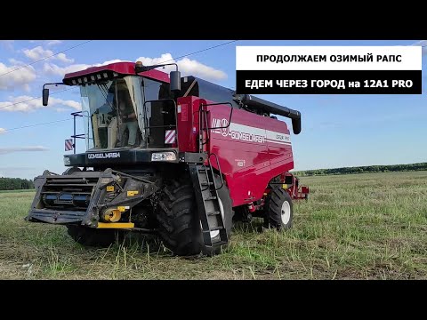 Видео: Продолжаем убирать озимый рапс, едем через город на GS12A1 PRO