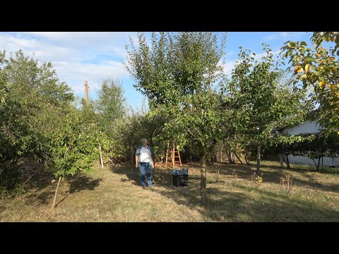 Видео: Епизод 7