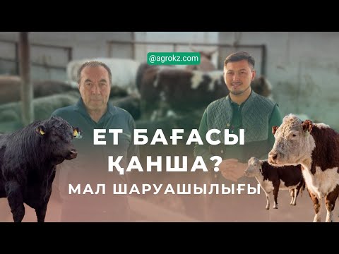 Видео: Ет қанша болып жатыр🍖🥩 Қарабұлақ елді мекеніндегі мал-шаруашылығы!