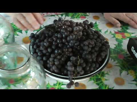 Видео: КОМПОТ З ВИНОГРАДУ 🍇🍇🍇  КОНСЕРВАЦІЯ НА ЗИМУ 🍇  Олександр і Лідушка