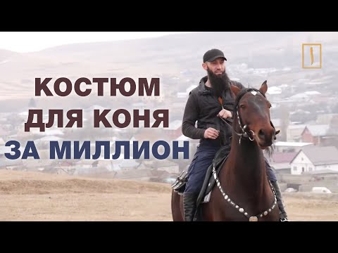 Видео: Тюнинг лошади по-карачаевски или "костюм" для коня за миллион