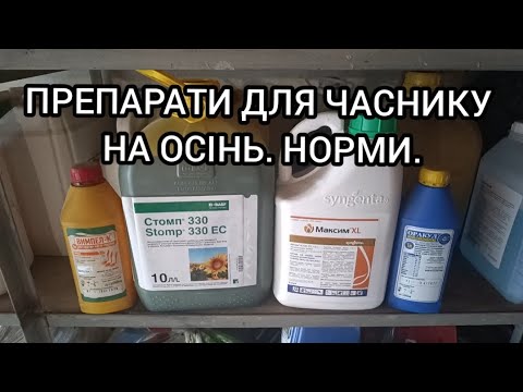 Видео: ПРЕПАРАТЫ для ЧЕСНОКА на осень. Чем обработать чеснок перед посадкой. Нормы.