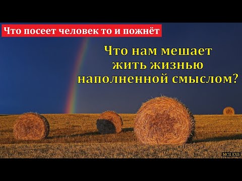 Видео: "Что посеет человек, то и пожнёт". С. Дулепов. МСЦ ЕХБ