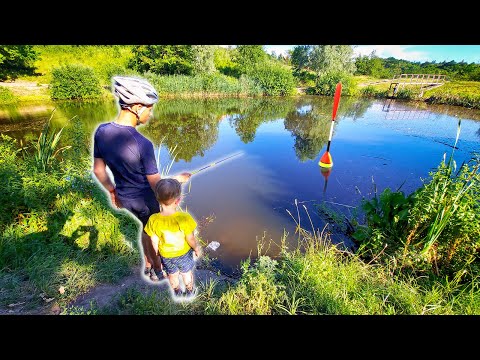 Видео: Два сына на рыбалке | Велопутешествие и рыбалка на поплавок | Семейная рыбалка