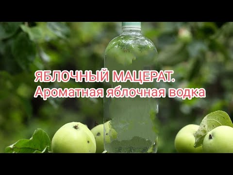 Видео: Яблочный мацерат. Ароматная яблочная водка. Как недопустить вкус компота