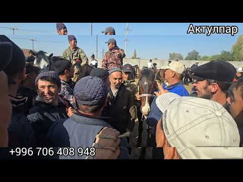 Видео: 2 ноября 2025 #жылкыбазар #атбазар 