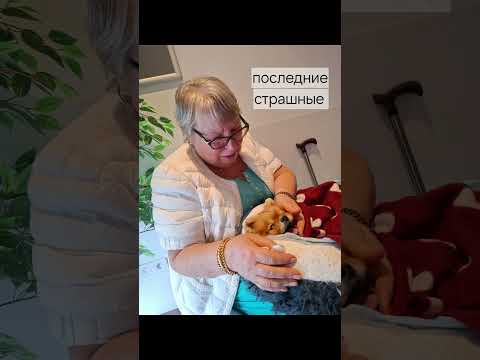 Видео: Он ушёл от меня навсегда в воскресенье утром