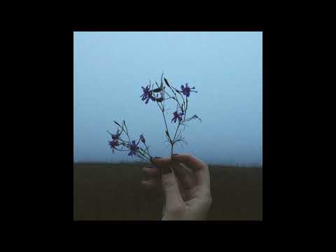Видео: Серебро - Перепутала (Slowed)