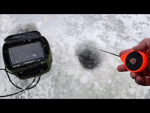 Видео: ВСЯ РИБА НА МІЛИНІ! Підводна зйомка. Зимова рибалка біля лісу.