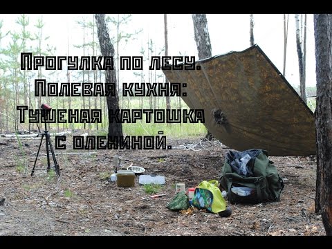 Видео: Прогулка по лесу. Полевая кухня. Тушеная картошка с олениной.