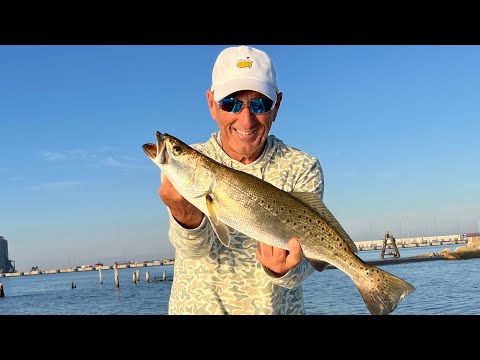 Видео: Галфпорт полон наживки и крупной пестрой форели!!