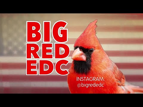 Видео: Розыгрыш-сюрприз от BigRed состоится в воскресенье 2 ноября!