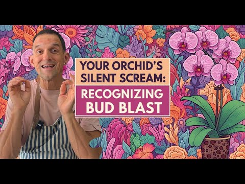 Видео: Вы не поверите, что на самом деле вызывает орхидейный бум
