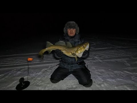 Видео: НОЧНАЯ ЗИМНЯЯ МОРСКАЯ РЫБАЛКА СО ЛЬДА В БАРЕНЦЕВОМ МОРЕ / NIGHT WINTER SEA FISHING