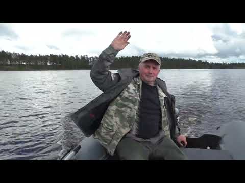 Видео: Мышь и рыбка против щук! Рыбалка на ламбушке!