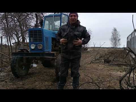 Видео: В деревне начало клубничного сезона. Заготавливаем березовый сок