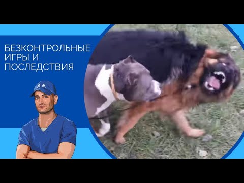 Видео: БеЗконтрольные игры и последствия