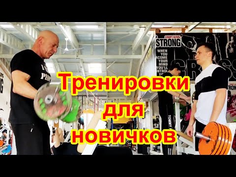 Видео: Тренировки для новичков в тренажерном зале №1