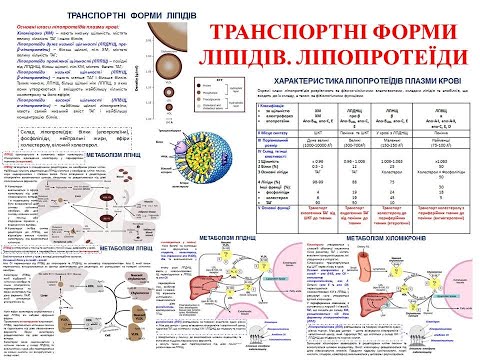 Видео: Крок 1 Біохімія. Транспортні форми ліпідів. Ліпопротеїди (ліпопротеїни)